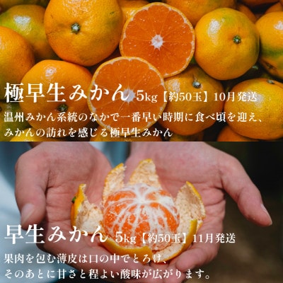 【発送月固定定期便】「時期、種類による味の違いを楽しむ」愛媛みかん食べ比べ【H70-80】全3回