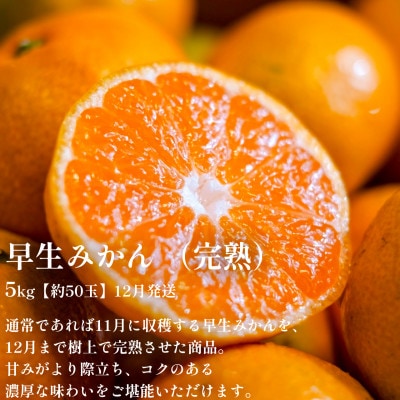 【発送月固定定期便】「時期、種類による味の違いを楽しむ」愛媛みかん食べ比べ【H70-80】全3回
