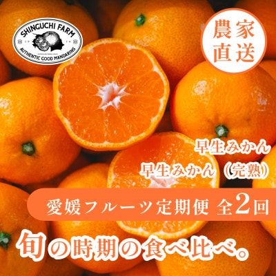 【発送月固定定期便】「時期による味の違いを楽しむ」愛媛みかんの旬を食べ比べ【F70-81】全2回