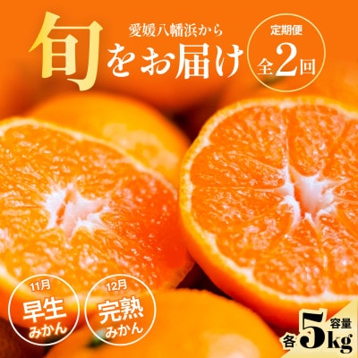 【発送月固定定期便】五代目厳選!旬の愛媛みかんをお届け【早生・完熟】【F70-81】全2回