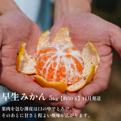 【発送月固定定期便】「時期による味の違いを楽しむ」愛媛みかんの旬を食べ比べ【F70-81】全2回
