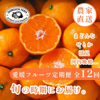 【発送月固定定期便】愛媛フルーツ旬の果物 みかん農家直送 まどんな せとか【H70-148】全12回