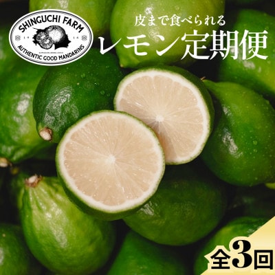 【発送月固定定期便】皮ごと食べられる【グリーンレモン】防腐剤・ワックス不使用【E70-172】全3回