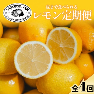 【発送月固定定期便】皮ごと食べられる【愛媛レモン】防腐剤・ワックス不使用【G70-173】全4回