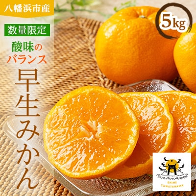 あまーい温州みかん(早生みかん)5kg[数量限定]【C56-6】