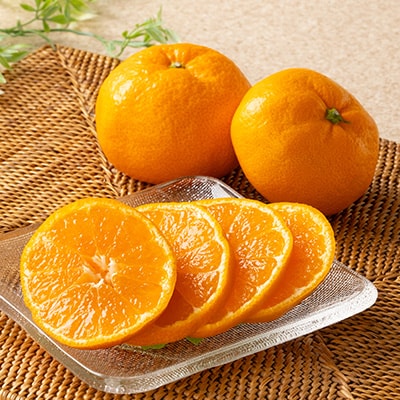 あまーい温州みかん(早生みかん)5kg[数量限定]【C56-6】