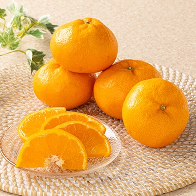 あまーい温州みかん(南柑20号みかん)5kg[数量限定]【C56-7】