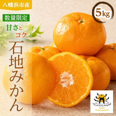 あまーい温州みかん(石地みかん)5kg[数量限定]【C56-8】