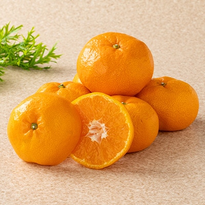 あまーい温州みかん(石地みかん)5kg[数量限定]【C56-8】