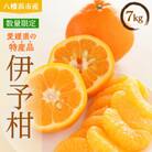 八幡浜産・伊予柑7kg[数量限定!]【C56-9】