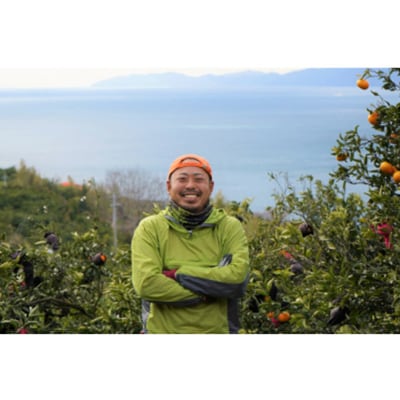 八幡浜産・伊予柑7kg[数量限定!]【C56-9】