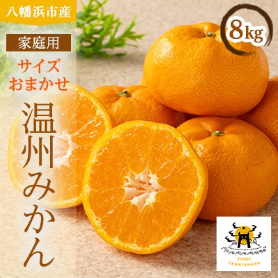 柑橘の鬼たちがつくる八幡浜産・温州みかん8kg[家庭用]【C56-17】