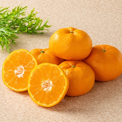 柑橘の鬼たちがつくる八幡浜産・温州みかん8kg[家庭用]【C56-17】