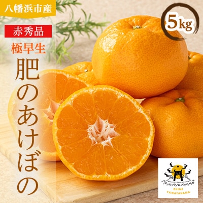 希少品種(赤秀品)真っ赤な 極早生 みかん 5kg【C56-32】