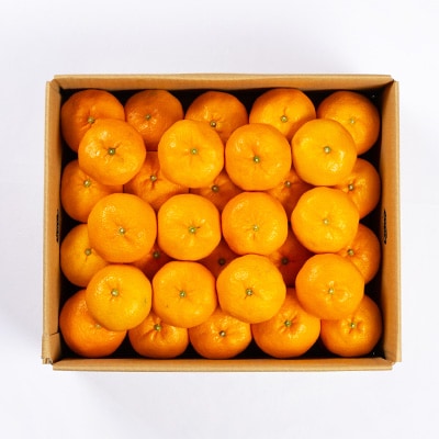 希少品種(赤秀品)真っ赤な 極早生 みかん 5kg【C56-32】