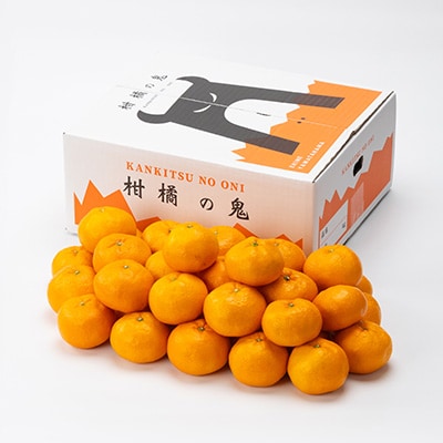 希少品種(赤秀品)真っ赤な 極早生 みかん 5kg【C56-32】