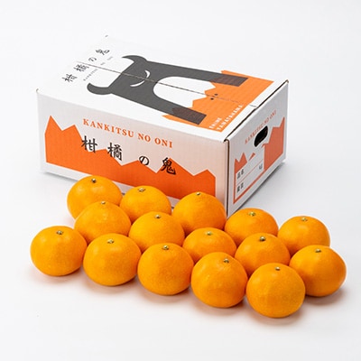 柑橘の鬼たちがつくる八幡浜産・鬼 マドンナ (2.7kg～3.0kg)[ 傷あり ]【E56-33】