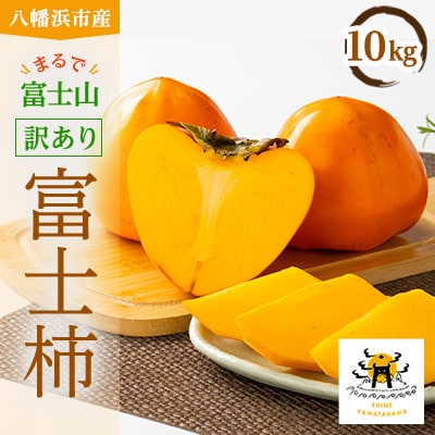 【2026年発送】目利きのプロが選ぶ　訳あり富士柿10kg【E56-38】