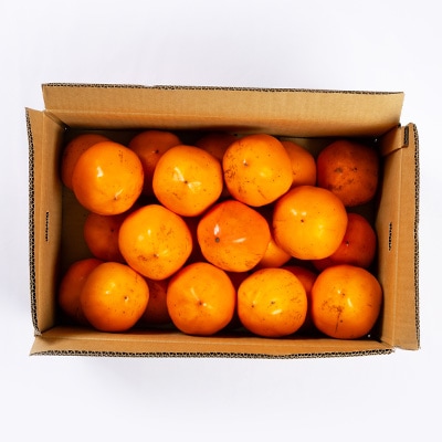 【2026年発送】目利きのプロが選ぶ　訳あり富士柿10kg【E56-38】