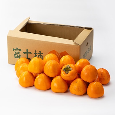 【2026年発送】目利きのプロが選ぶ　訳あり富士柿10kg【E56-38】
