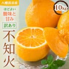 八幡浜産・不知火10kg【訳あり】【E56-40】