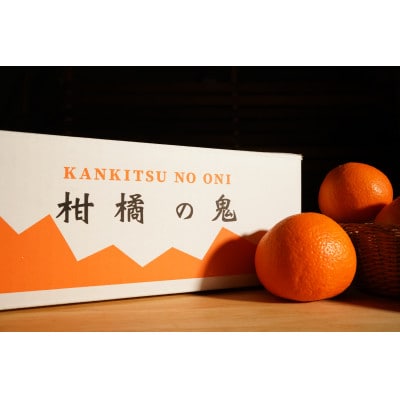 八幡浜産・ネーブル10kg【訳あり】【C56-44】