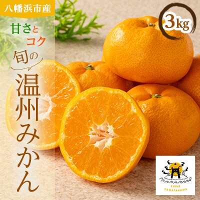 柑橘の鬼たちがつくる八幡浜産・温州みかん3kg【A56-55】