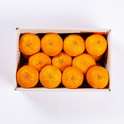 柑橘の鬼たちがつくる八幡浜産・温州みかん3kg【A56-55】