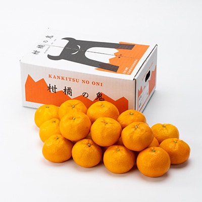 柑橘の鬼たちがつくる八幡浜産・温州みかん3kg【A56-55】