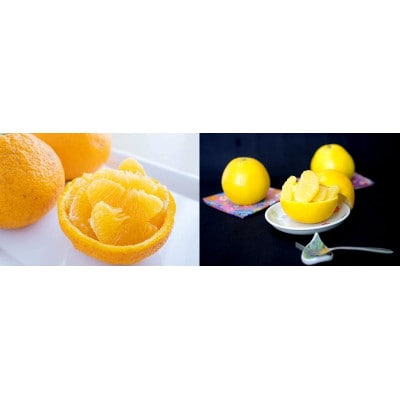 八幡浜産「河内晩柑5kg」「甘夏5kg」初夏の果物食べ比べセット【訳あり】【C56-54】