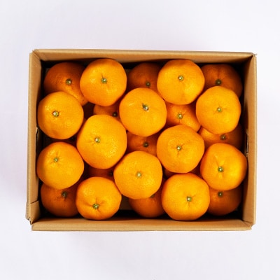 愛媛県八幡浜市産大玉みかん11kg【C56-59】