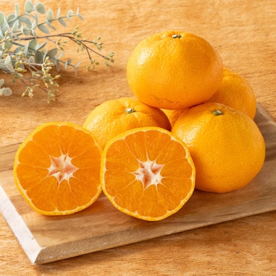 愛媛県八幡浜市産大玉みかん11kg【C56-59】