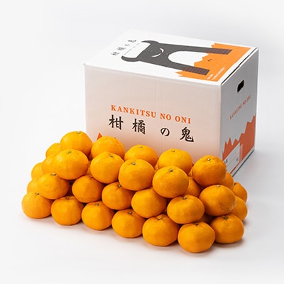 愛媛県八幡浜市産大玉みかん11kg【C56-59】