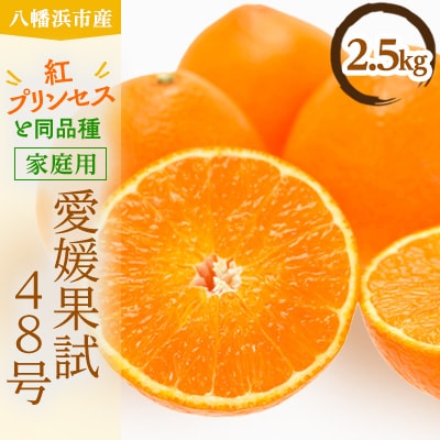 家庭用　愛媛果試48号(紅プリンセスと同品種)【E56-60】