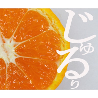 家庭用　愛媛果試48号(紅プリンセスと同品種)【E56-60】