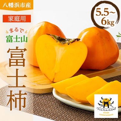 家庭用　富士柿　5.5kg～6kg【C56-73】