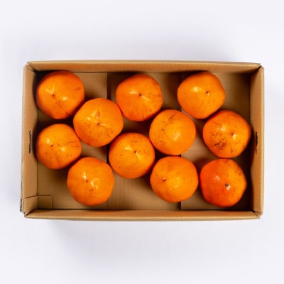 家庭用　富士柿　5.5kg～6kg【C56-73】