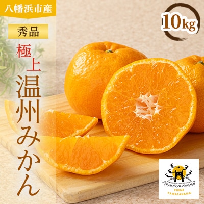 極上温州みかん 計10kg 愛媛県八幡浜市産【E56-75】
