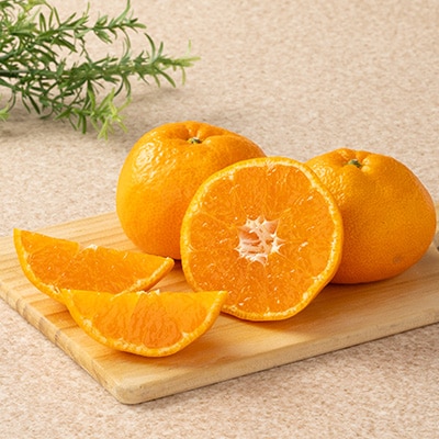 極上温州みかん 計10kg 愛媛県八幡浜市産【E56-75】