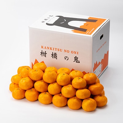 極上温州みかん 計10kg 愛媛県八幡浜市産【E56-75】