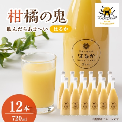 はるかジュース　720ml×12本【H56-77】