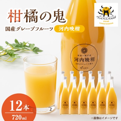 河内晩柑ジュース(ストレート)720ml×12本【H56-79】