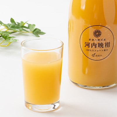 河内晩柑ジュース(ストレート)720ml×12本【H56-79】