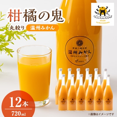 温州みかんジュース(ストレート)720ml×12本【H56-81】