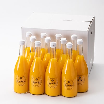 温州みかんジュース(ストレート)720ml×12本【H56-81】