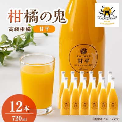 甘平ジュース720ml×12本【H56-83】