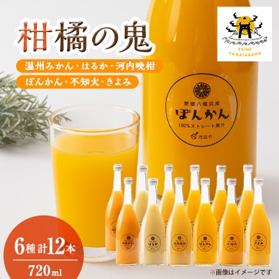 6種みかんジュースセット12本セット(各2本)【H56-85】