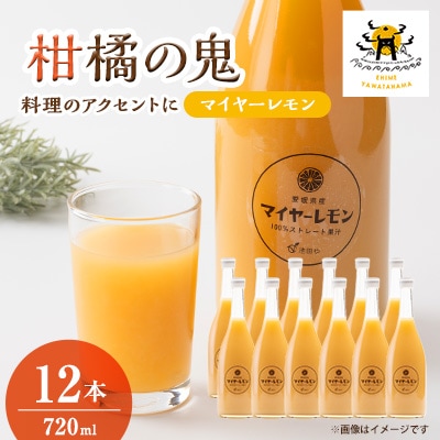愛媛八幡浜産レモンストレート果汁720ml×12本【H56-87】