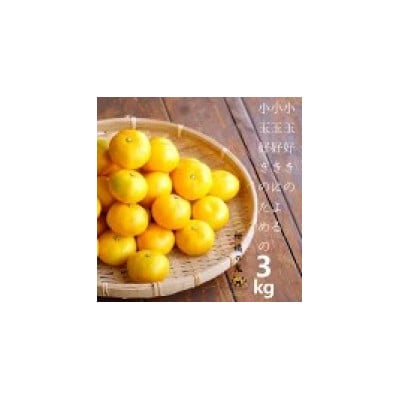 八幡浜産　あまーい小玉みかん計3kg【C56-88】