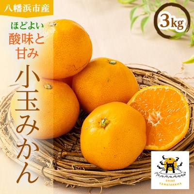 八幡浜産　あまーい小玉みかん計3kg【C56-88】